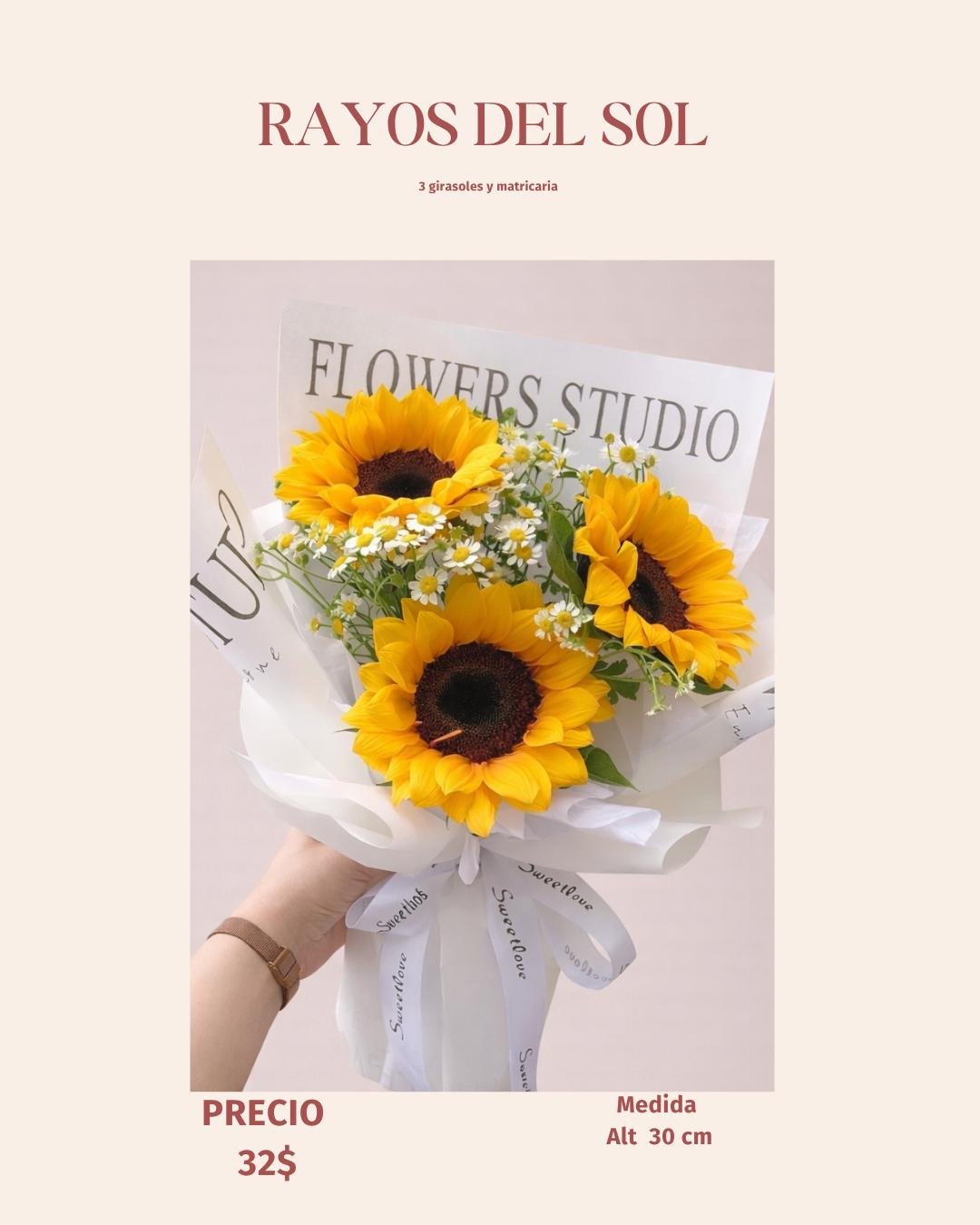 Rayos del Sol